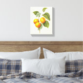 Oude Voedsel Fruit, Abrikoos Perzik door Redoute Canvas Afdruk (Insitu (Slaapkamer))