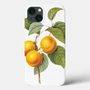 Oude Voedsel Fruit, Abrikoos Perzik door Redoute iPhone 13 Hoesje