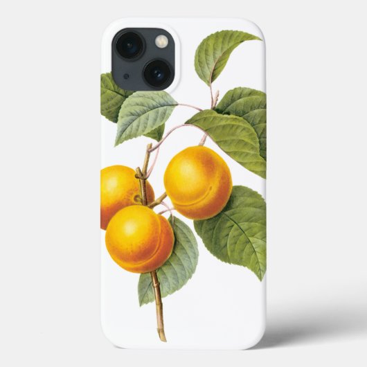 Oude Voedsel Fruit, Abrikoos Perzik door Redoute Case-Mate iPhone Case (Achterkant)