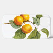 Oude Voedsel Fruit, Abrikoos Perzik door Redoute Case-Mate iPhone Case (Achterkant (horizontaal))