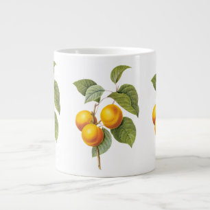 Oude Voedsel Fruit, Abrikoos Perzik door Redoute Grote Koffiekop