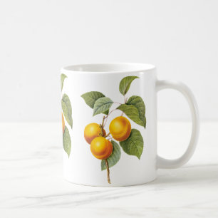 Oude Voedsel Fruit, Abrikoos Perzik door Redoute Koffiemok
