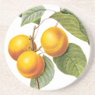 Oude Voedsel Fruit, Abrikoos Perzik door Redoute Zandsteen Onderzetter
