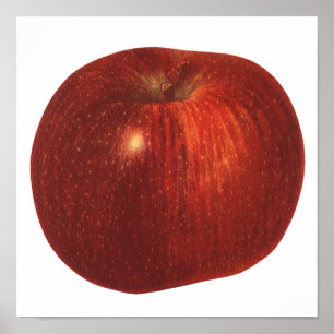 Oude Voedsel Fruit, Biologische Rode Delicious App Poster