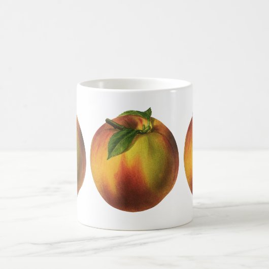 Oude Voedsel Fruit, Rijpe Biologische Perzik met B Koffiemok (Center)