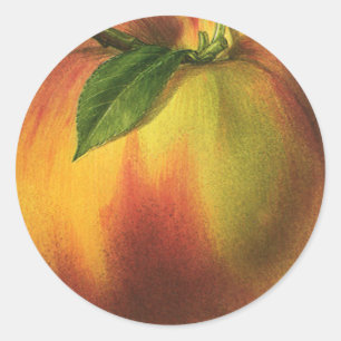 Oude Voedsel Fruit, Rijpe Biologische Perzik met B Ronde Sticker