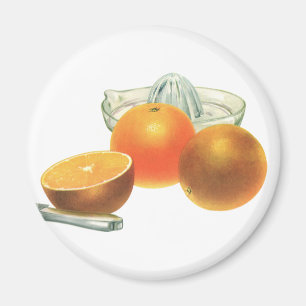 Oude Voedsel Fruit, Rijpe Sinaasappels Sapcentrifu Magneet