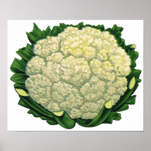 Oude Voedsel Groenten Groenten Bloemkool Poster (Voorkant)