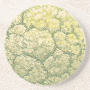 Oude Voedsel Groenten Groenten Bloemkool Zandsteen Onderzetter