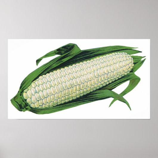 Oude Voedsel Groenten Witte Maïs aan de Kolf Poster (Voorkant)