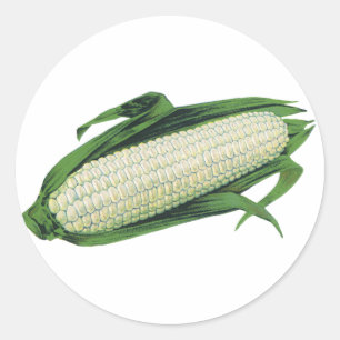 Oude Voedsel Groenten Witte Maïs aan de Kolf Ronde Sticker