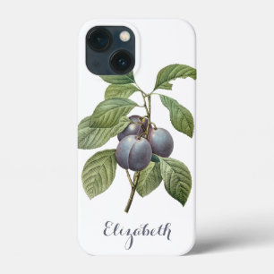 Oude voedsel vruchten, paarse tuin pruimen door Re iPhone 13 Mini Hoesje
