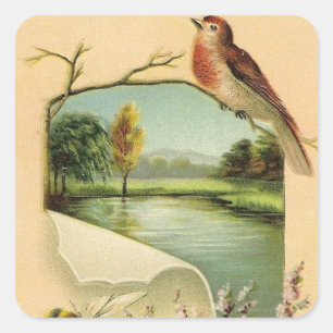 Oude vogel leuk dier sticker