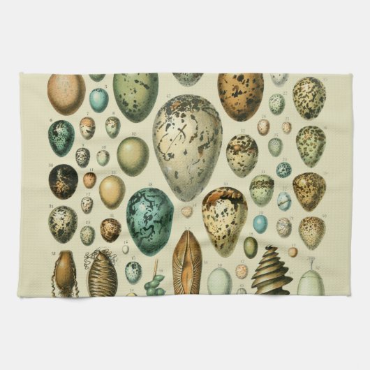 Oude vogeleieren Franse viskuil kunst Theedoek (Horizontaal)