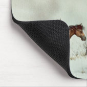 OUDE VOORRUITEN: SHARON SHARPE MUISMAT (Hoek)