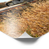 Oude vrachtwagen in najaar Boerderij Foto Afdruk (Hoek)