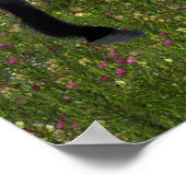 'Oude vrienden' - Afdrukken van Elf en Black Horse Poster (Hoek)