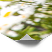 Oude vuurtoren op het meer van Kalamazoo, Saugatuc Poster (Hoek)