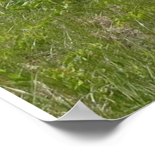 Oude vuurtoren voor Mission Point Poster (Hoek)