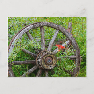 Oude wagenwiel in historische oude goudstad 3 briefkaart