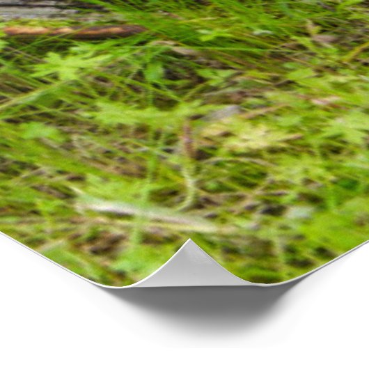 Oude wagon in oude gouden stad 3 poster (Hoek)