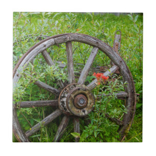 Oude wagon in oude gouden stad 3 tegeltje