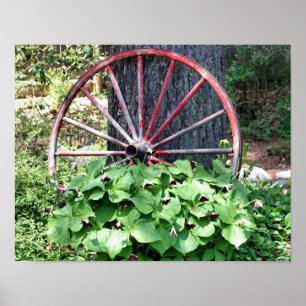Oude Wagon Trillium Flower Garden Poster