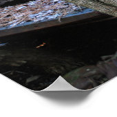 Oude Wagon van het Wrecked Station Poster (Hoek)