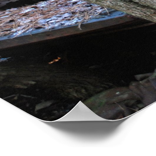 Oude Wagon van het Wrecked Station Poster (Hoek)