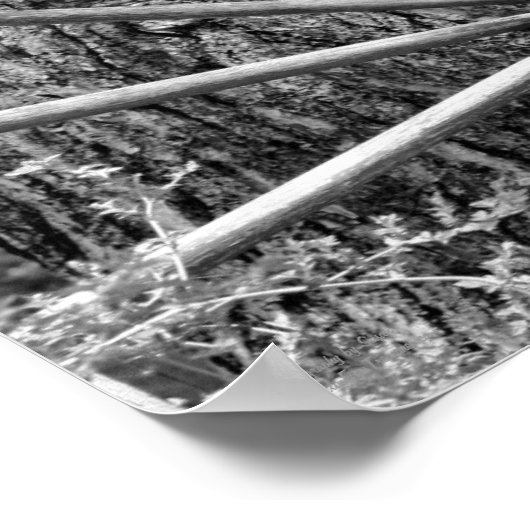 Oude  Wagon Wheel zwart en wit Poster (Hoek)