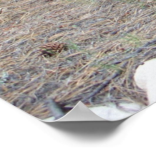 Oude wagonwielen poster (Hoek)