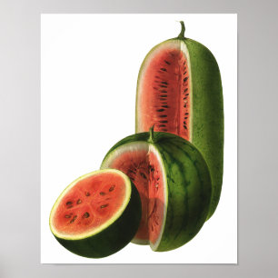 Oude watermeloenen hoge ronde, biologische levensm poster