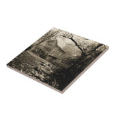 Oude Waterrad Tegeltje (Zijkant)