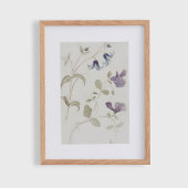 Oude waterverf bloemen poster