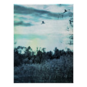 Oude Waterverf met een Vogelglanzend Poster (Voorkant)