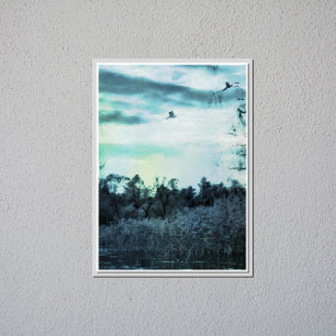 Oude Waterverf met een Vogelglanzend Poster