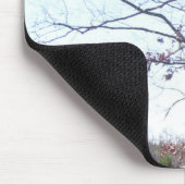 Oude weerseiken in de winter en oude filmprojector muismat (Hoek)