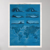 Oude Wereld Oceaan-Currents Map (1860)