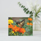 Oude Wereld Swallowtail Butterfly Papilio Machaon Briefkaart (Staand voorkant)