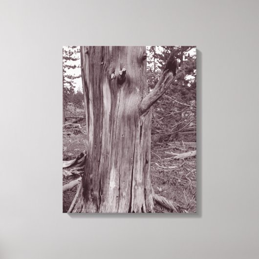 Oude wervelkolom canvas afdruk (Voorkant)