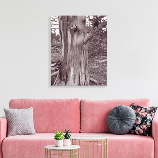 Oude wervelkolom canvas afdruk (Insitu (Woonkamer))