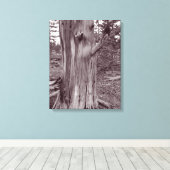 Oude wervelkolom canvas afdruk (Insitu (Houten vloer))