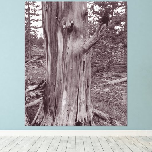 Oude wervelkolom canvas afdruk (Insitu (Houten vloer))