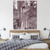 Oude wervelkolom canvas afdruk (Insitu (Slaapkamer))