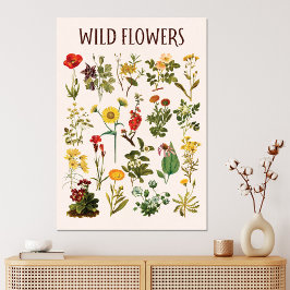 Oude Wilde Bloem Grafiek Canvas Afdruk