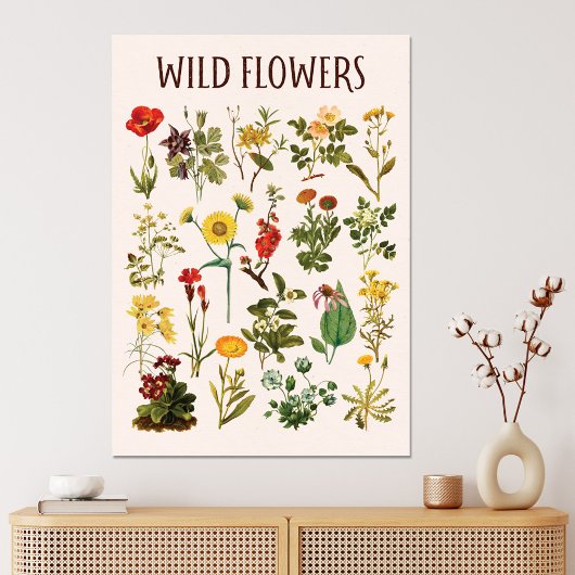 Oude Wilde Bloem Grafiek Canvas Afdruk