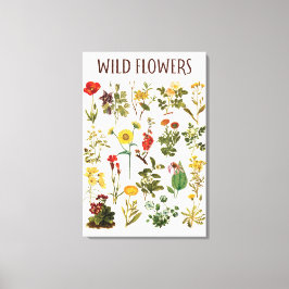 Oude Wilde Bloem Grafiek Canvas Afdruk