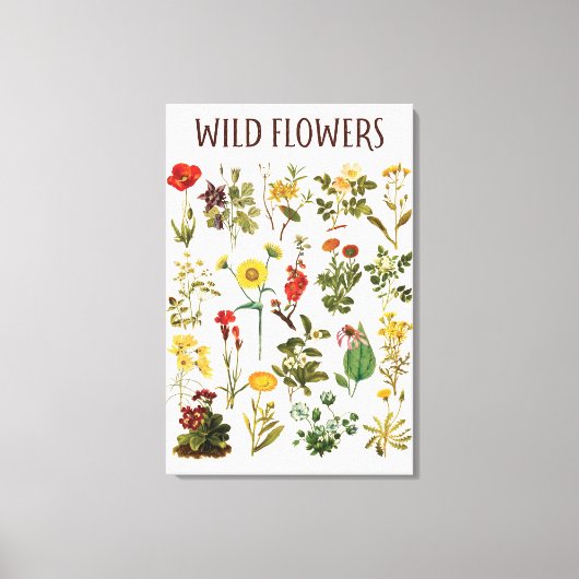 Oude Wilde Bloem Grafiek Canvas Afdruk (Voorkant)