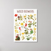 Oude Wilde Bloem Grafiek Canvas Afdruk (Voorkant)