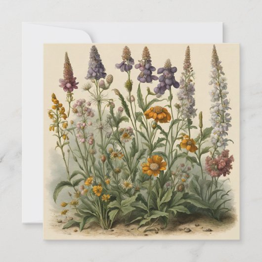 Oude wilde bloemen  kaart (Voorkant)